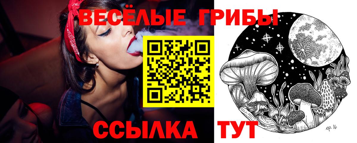 Буйнакск  Галлюциногенные грибы Psilocybe  Вход с VPN 